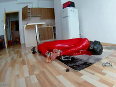 Tight and dangerous hogtie breathplay in red latex (New! 8 Nov 2020) - Sunporno