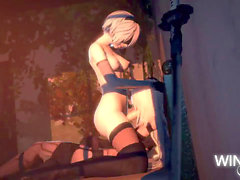 Nier, tranny